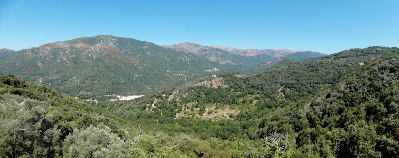 Casa Nepita Sur Vue Grandiose Appartement Santa-Lucia-di-Tallano Buitenkant foto